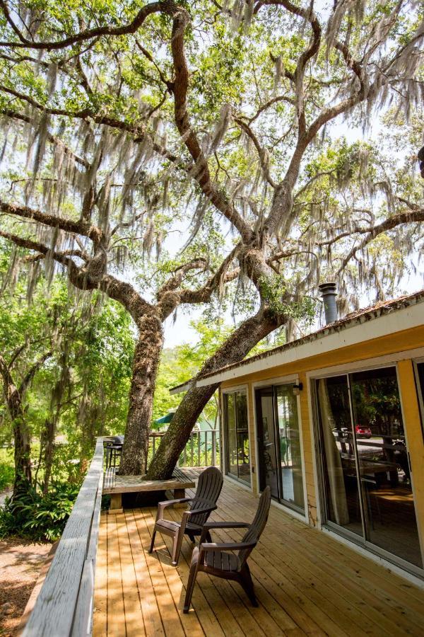 Riverfront Treetop Bungalow Homosassa Eksteriør billede