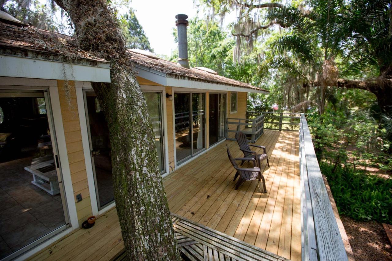 Riverfront Treetop Bungalow Homosassa Eksteriør billede